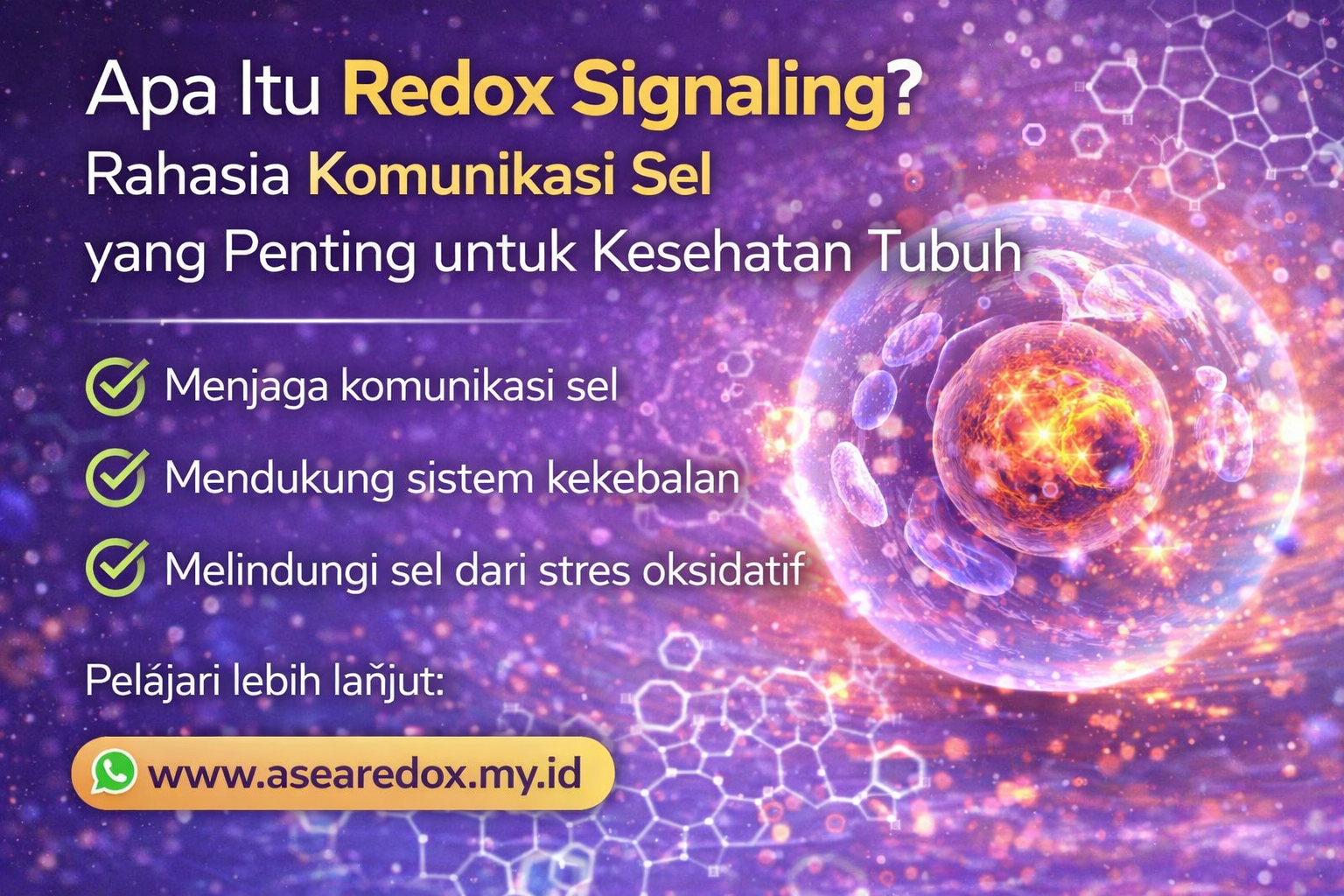 file 0000000003e87208becac65eba135c01